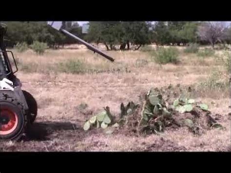 Removing Prickly Pear Cactus with Monster Cactus Forks